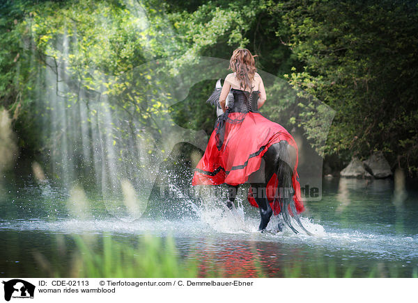 woman rides warmblood / CDE-02113