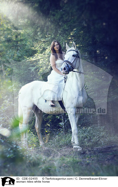 Frau reitet Schimmel / woman rides white horse / CDE-02455
