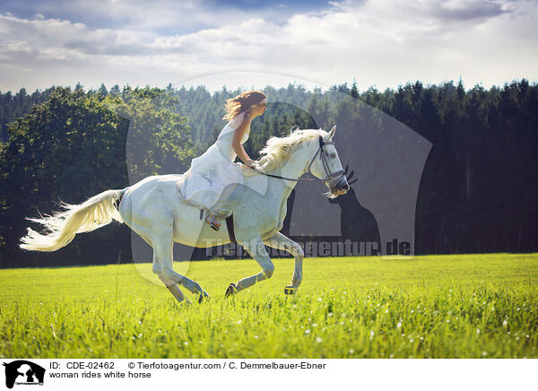Frau reitet Schimmel / woman rides white horse / CDE-02462
