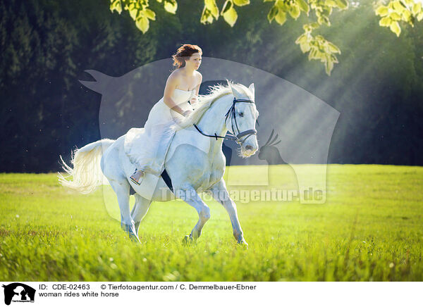 Frau reitet Schimmel / woman rides white horse / CDE-02463