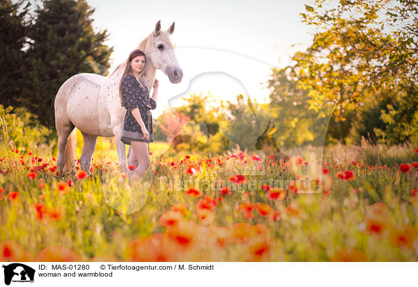 Frau und Warmblut / woman and warmblood / MAS-01280