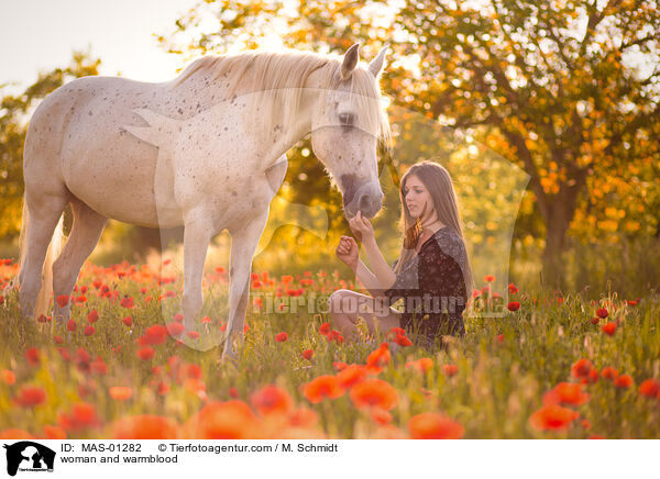 Frau und Warmblut / woman and warmblood / MAS-01282