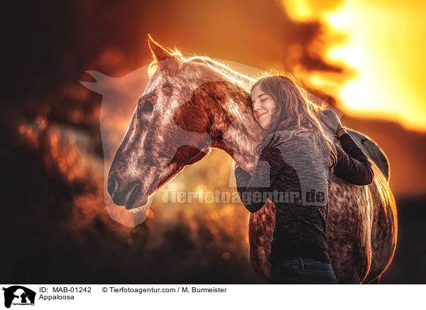 Appaloosa / Appaloosa / MAB-01242