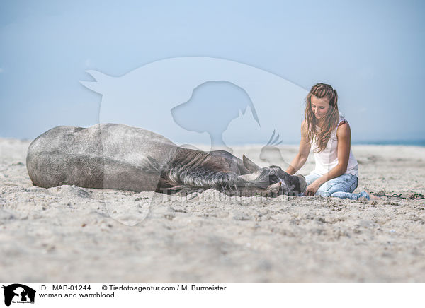 Frau und Warmblut / woman and warmblood / MAB-01244