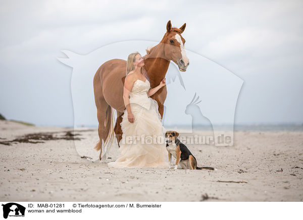Frau und Warmblut / woman and warmblood / MAB-01281