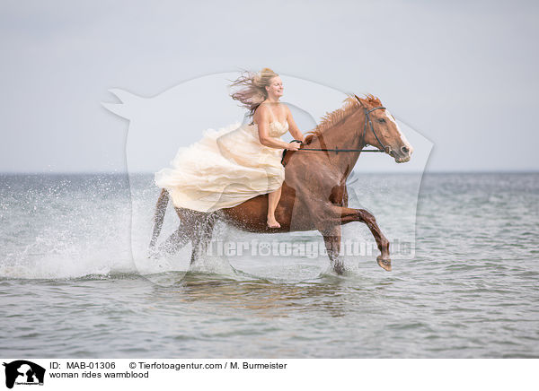 woman rides warmblood / MAB-01306