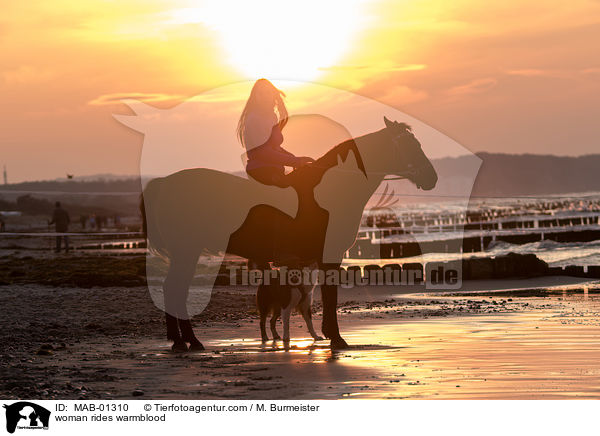 woman rides warmblood / MAB-01310