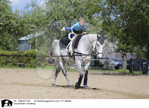 equestrian vaulting / PM-07134