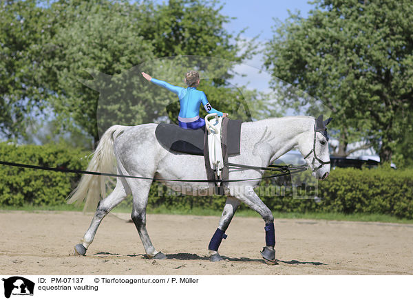Voltigieren / equestrian vaulting / PM-07137