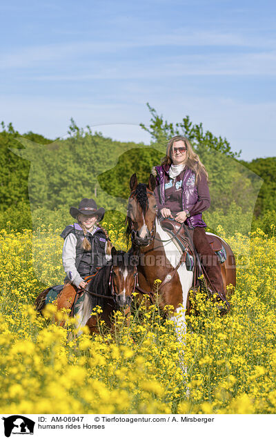 humans rides Horses / AM-06947