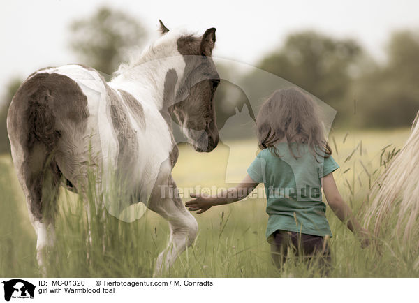 Mdchen mit Warmblutfohlen / girl with Warmblood foal / MC-01320