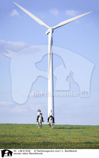 Frauen reiten Warmblter / woman rides Warmbloods / LIB-01208