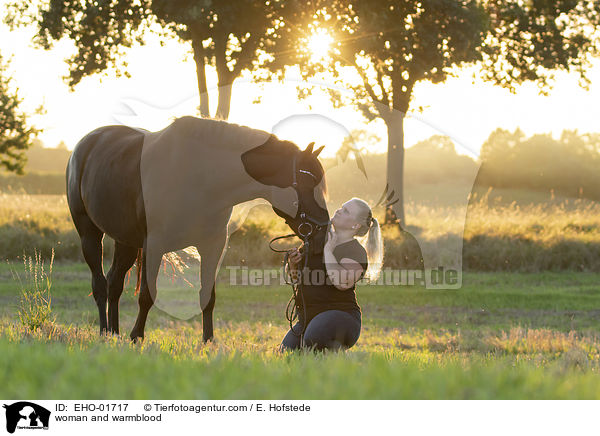 Frau und Warmblut / woman and warmblood / EHO-01717