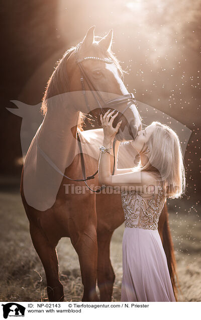 Frau mit Warmblut / woman with warmblood / NP-02143
