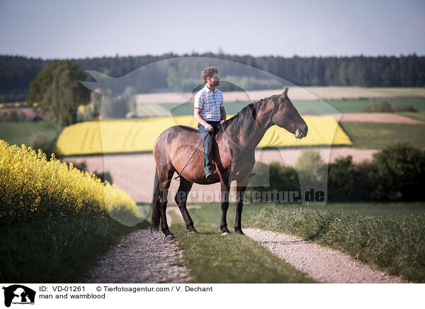 Mann und Warmblut / man and warmblood / VD-01261