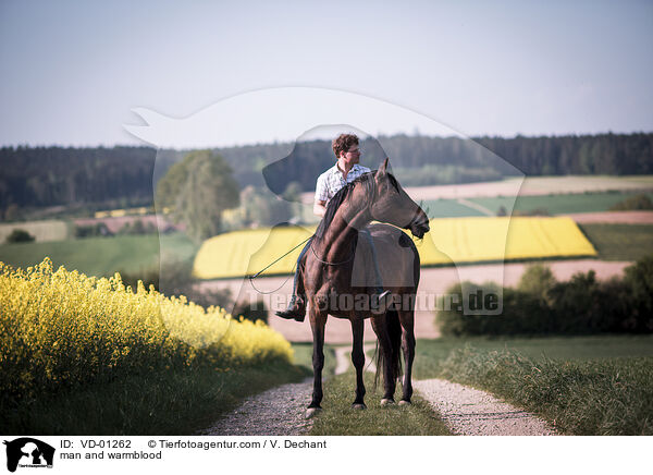 Mann und Warmblut / man and warmblood / VD-01262