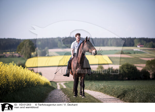 Mann und Warmblut / man and warmblood / VD-01263