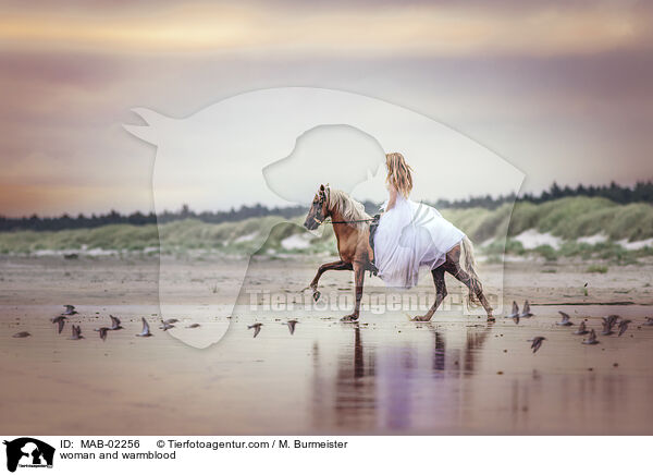 Frau und Warmblut / woman and warmblood / MAB-02256