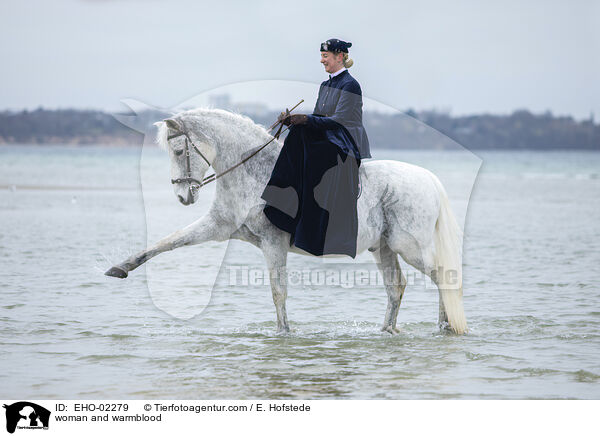 Frau und Warmblut / woman and warmblood / EHO-02279
