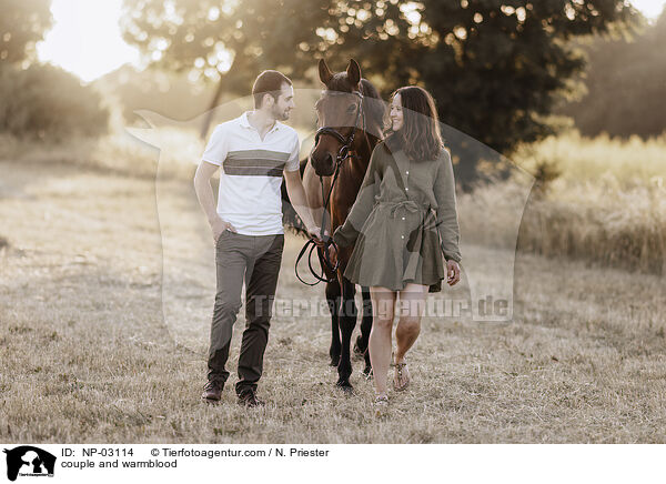 Paar and Warmblut / couple and warmblood / NP-03114