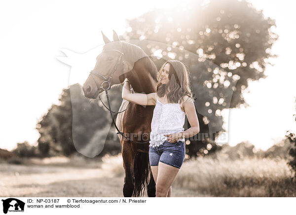 Frau und Warmblut / woman and warmblood / NP-03187