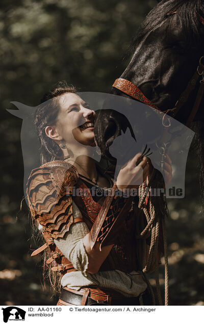Warmblut / warmblood / AA-01160