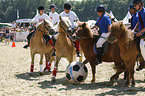 horse soccer