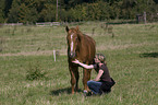 young woman with horse