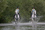 horseriding
