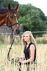 horse