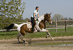 woman rides warmblood