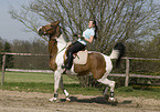 woman rides warmblood
