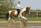 woman rides warmblood