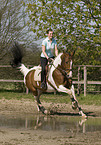woman rides warmblood
