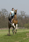 woman rides warmblood