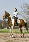 woman rides warmblood