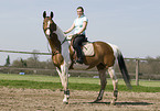 woman rides warmblood