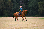 woman rides warmblood