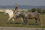 riding