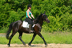 woman rides warmblood