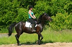 woman rides warmblood