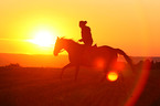 woman rides warmblood