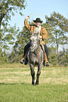 man rides Appaloosa-Mix