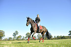 woman rides warmblood