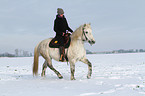 woman rides warmblood in the snow