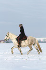 woman rides warmblood in the snow