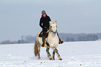woman rides warmblood in the snow