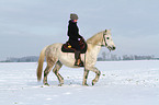 woman rides warmblood in the snow