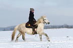 woman rides warmblood in the snow