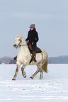 woman rides warmblood